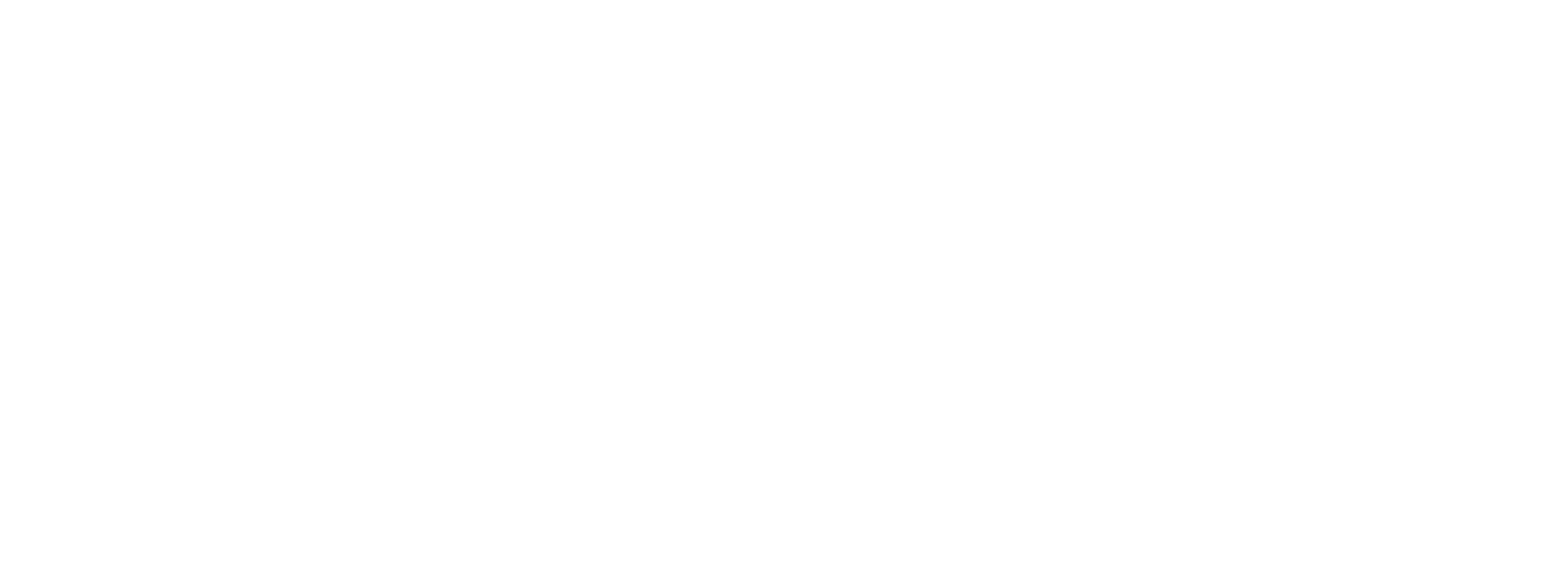 Nurturenest Homecare Logo White